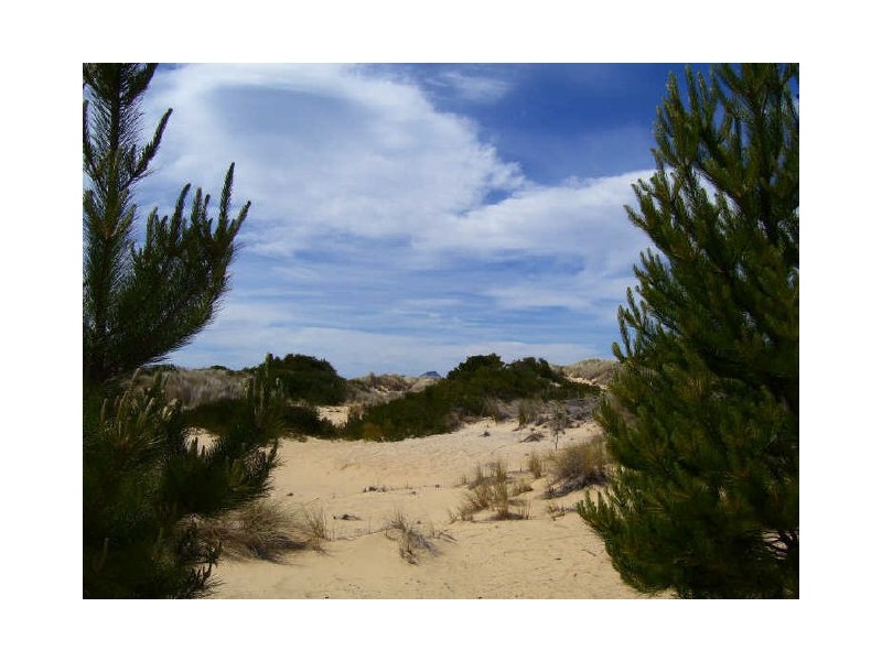 138 Yellow Sands Road, Beaumaris TAS 7215