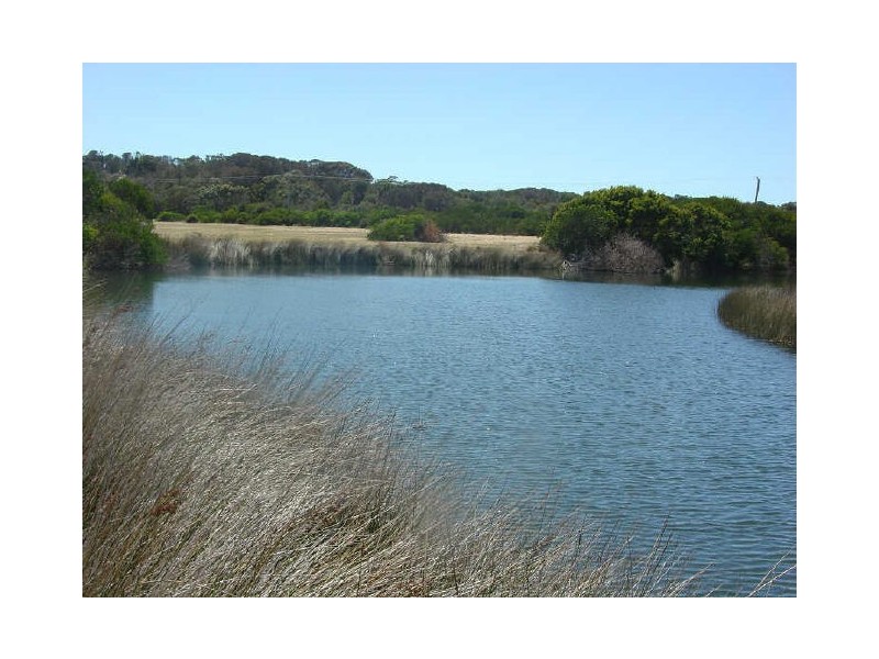 Cnr Deals Rd & Tasman Hwy, Douglas River TAS 7215