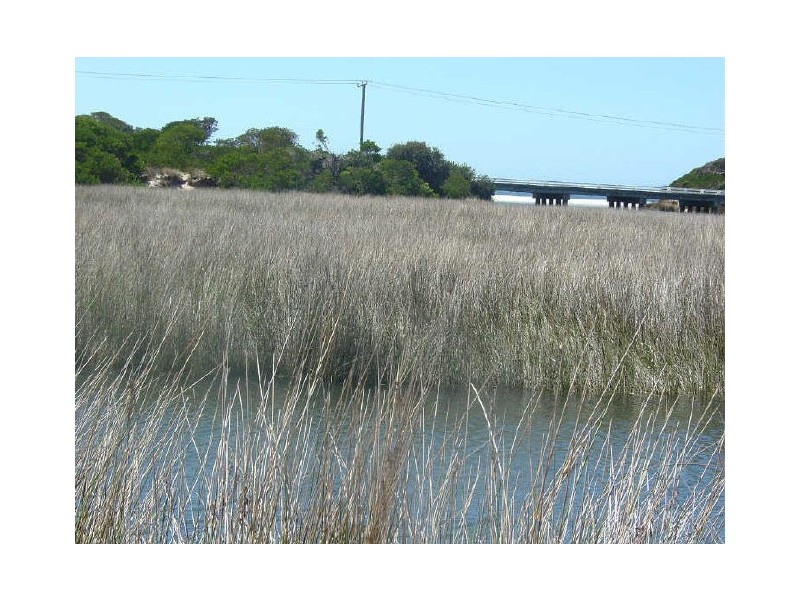 Cnr Deals Rd & Tasman Hwy, Douglas River TAS 7215