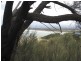 59 Hazards View Drive, Coles Bay TAS 7215