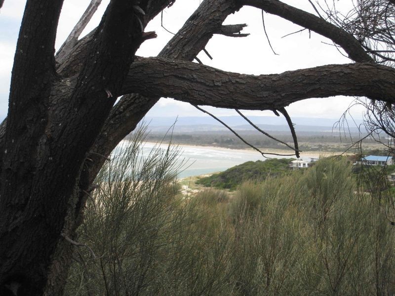 59 Hazards View Drive, Coles Bay TAS 7215