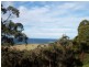 39 Rosedale Road, Bicheno TAS 7215