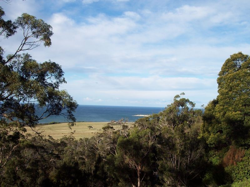 39 Rosedale Road, Bicheno TAS 7215