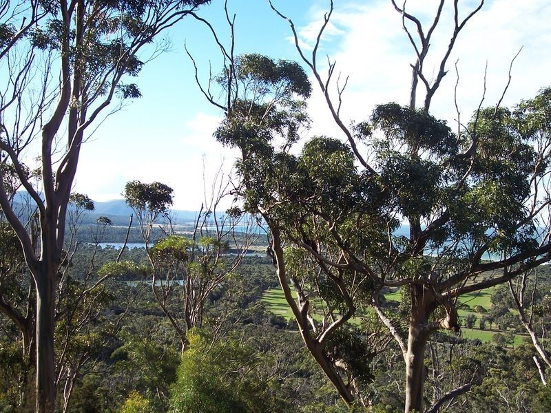 39 Rosedale Road, Bicheno TAS 7215