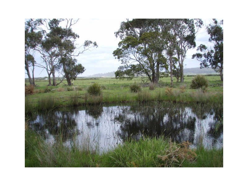 RA 16404 Tasman Highway, Bicheno TAS 7215