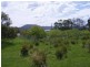 RA 16404 Tasman Highway, Bicheno TAS 7215