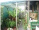 25 Burgess Street, Bicheno TAS 7215