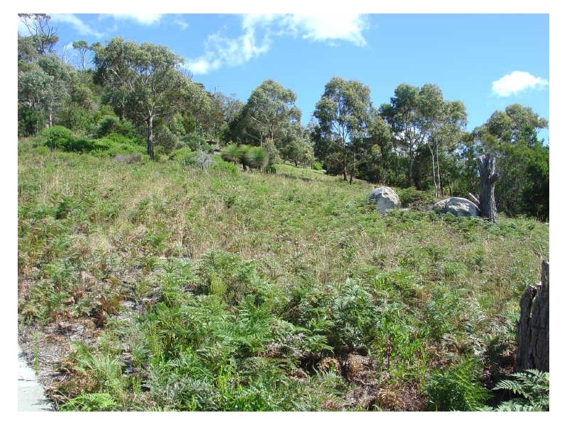 Lot 2/9 Esplanade, Bicheno TAS 7215