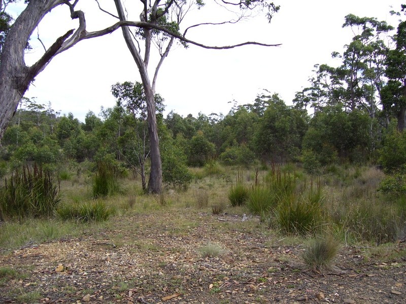 34 Brewis Place, Lake Leake TAS 7210