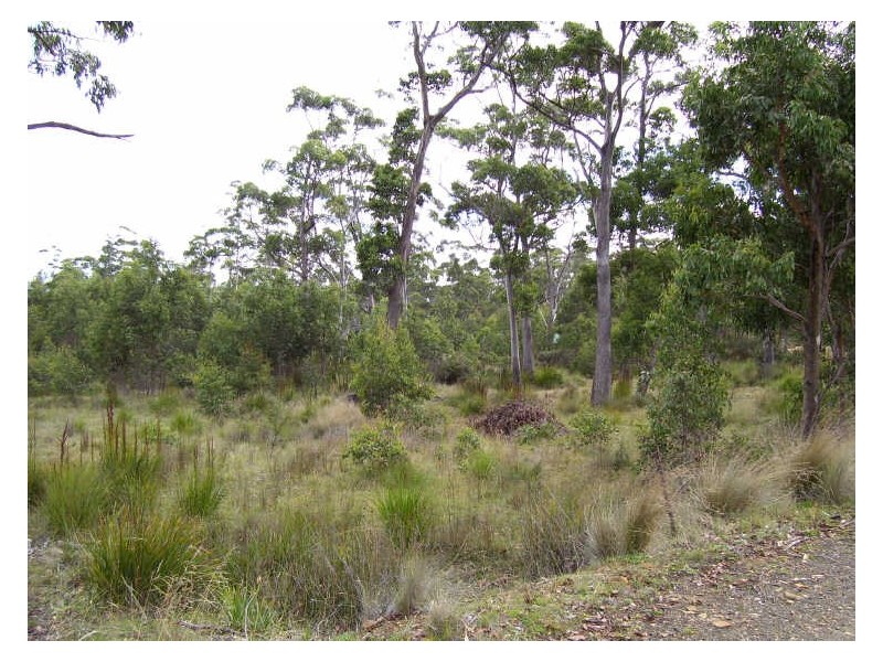 34 Brewis Place, Lake Leake TAS 7210