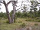 34 Brewis Place, Lake Leake TAS 7210