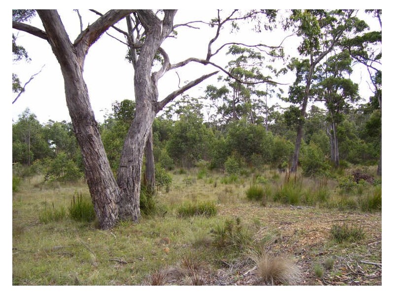 34 Brewis Place, Lake Leake TAS 7210