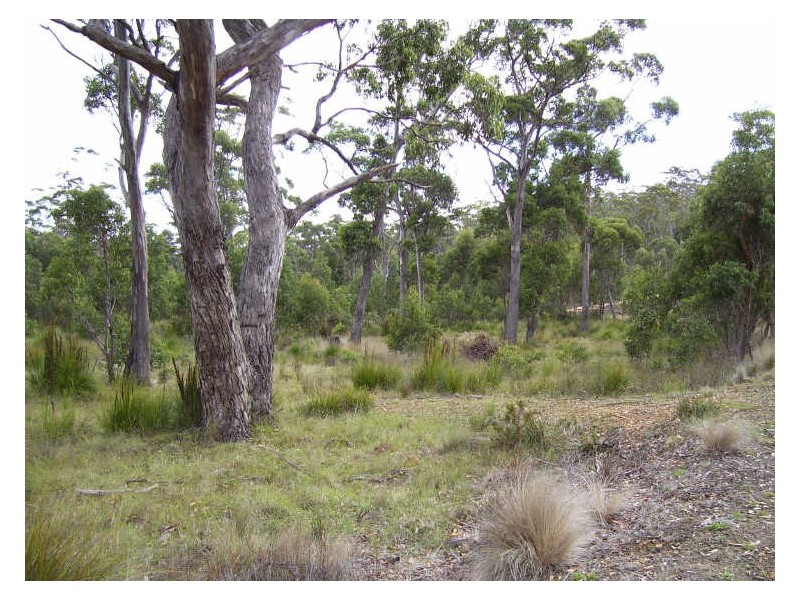 34 Brewis Place, Lake Leake TAS 7210
