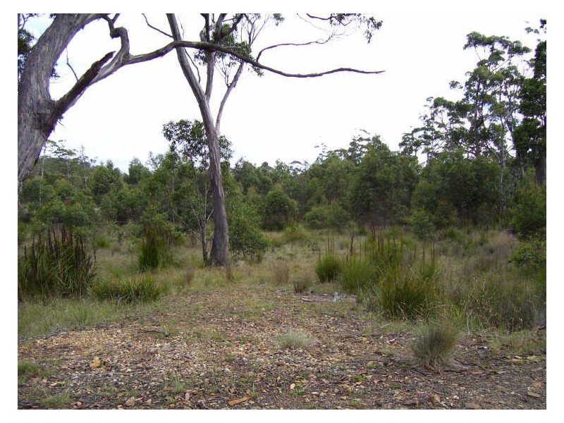 3 Brewis Place, Lake Leake TAS 7210