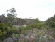Coles Bay Road/Cnr Friendly Beaches Road, Coles Bay TAS 7215