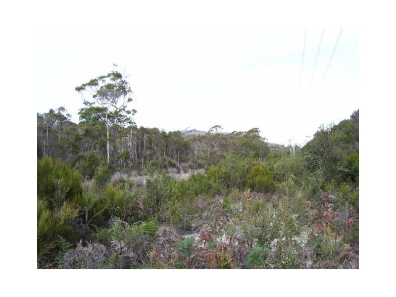 Coles Bay Road/Cnr Friendly Beaches Road, Coles Bay TAS 7215