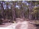 Coles Bay Road/Cnr Friendly Beaches Road, Coles Bay TAS 7215