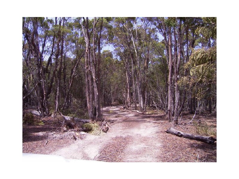 Coles Bay Road/Cnr Friendly Beaches Road, Coles Bay TAS 7215