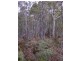 Coles Bay Road/Cnr Friendly Beaches Road, Coles Bay TAS 7215