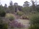 Coles Bay Road/Cnr Friendly Beaches Road, Coles Bay TAS 7215