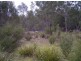 Coles Bay Road/Cnr Friendly Beaches Road, Coles Bay TAS 7215