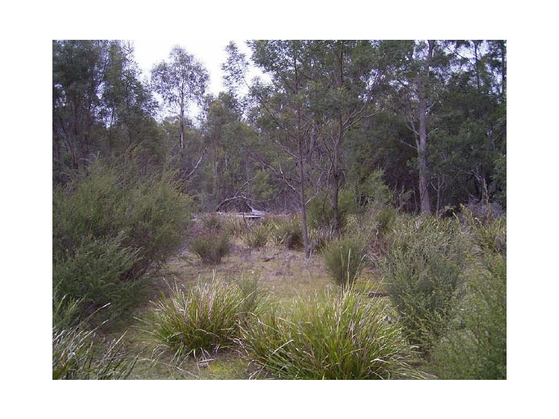Coles Bay Road/Cnr Friendly Beaches Road, Coles Bay TAS 7215