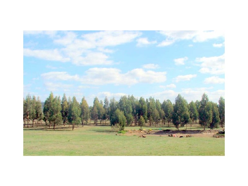 2 Burgess Street, Swansea NSW 2281