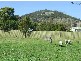 8 Chadwin Avenue, Bicheno TAS 7215