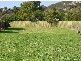 8 Chadwin Avenue, Bicheno TAS 7215