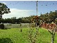 7 Champ Street, Bicheno TAS 7215