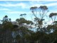 107 Esplanade, Coles Bay TAS 7215