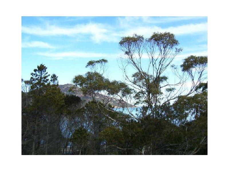 107 Esplanade, Coles Bay TAS 7215