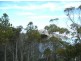 107 Esplanade, Coles Bay TAS 7215