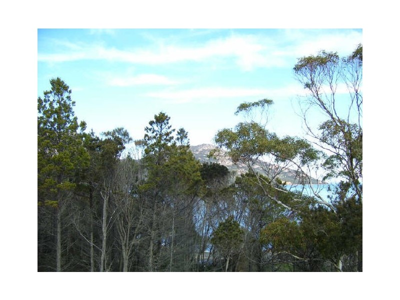 107 Esplanade, Coles Bay TAS 7215