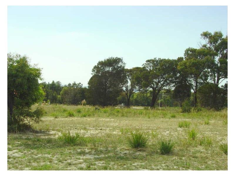 5 Seymour Street, Bicheno TAS 7215