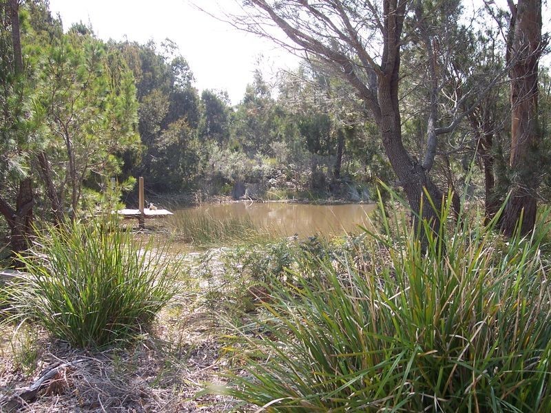 1530 Coles Bay Road, Coles Bay TAS 7215