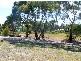 17 A Harveys Farm Road, Bicheno TAS 7215