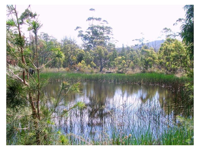 RA 220 Rosedale Road, Bicheno TAS 7215