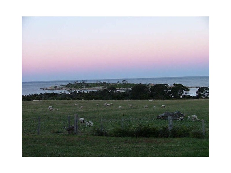 47 Tasman Highway, Bicheno TAS 7215