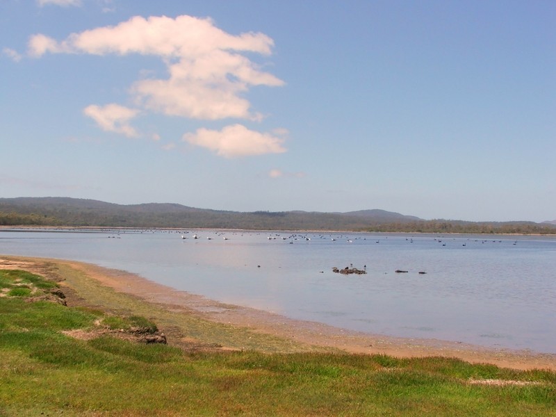 LOT 5 Flacks Road, Coles Bay TAS 7215