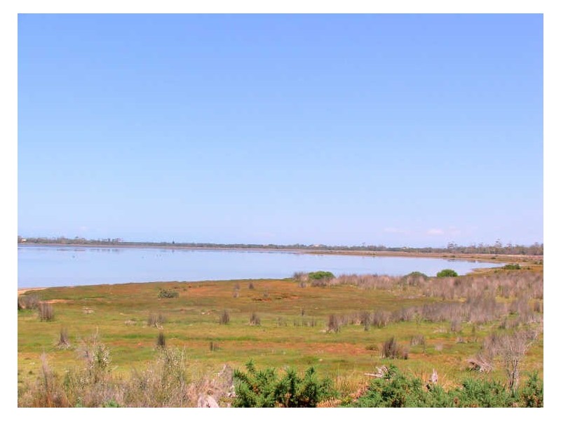 LOT 5 Flacks Road, Coles Bay TAS 7215