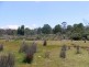 LOT 5 Flacks Road, Coles Bay TAS 7215