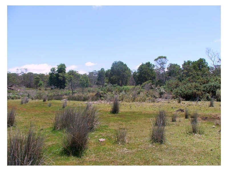 LOT 5 Flacks Road, Coles Bay TAS 7215