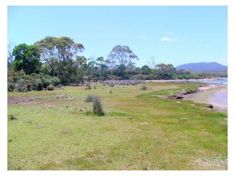 LOT 5 Flacks Road, Coles Bay TAS 7215