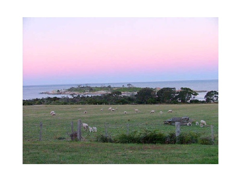 Beach End Tasman Highway, Bicheno TAS 7215