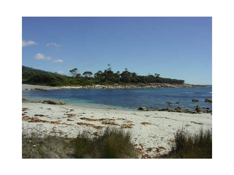 Lot 1/ 119 Harveys Farm Rd, Bicheno TAS 7215