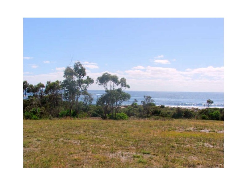Lot 1/ 119 Harveys Farm Rd, Bicheno TAS 7215