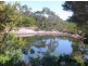 Lot 1/ 119 Harveys Farm Rd, Bicheno TAS 7215