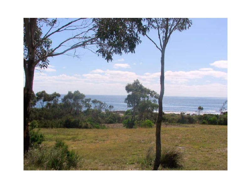 Lot 1/ 119 Harveys Farm Rd, Bicheno TAS 7215