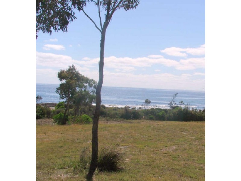 Lot 1/ 119 Harveys Farm Rd, Bicheno TAS 7215